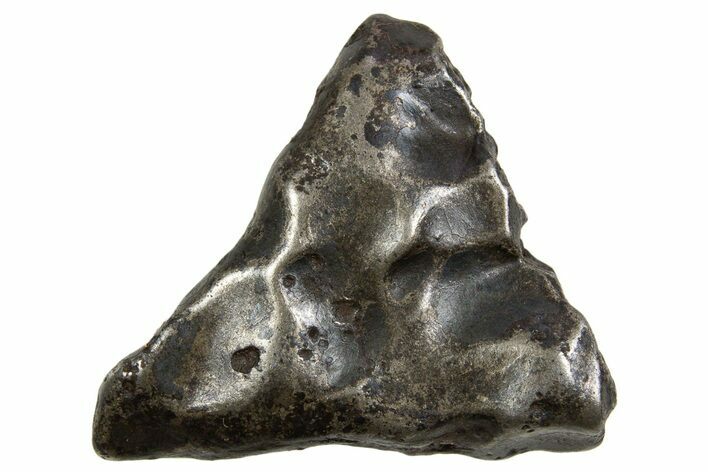 Fusion Crusted Sikhote-Alin Iron Meteorite ( g) - Russia #334594